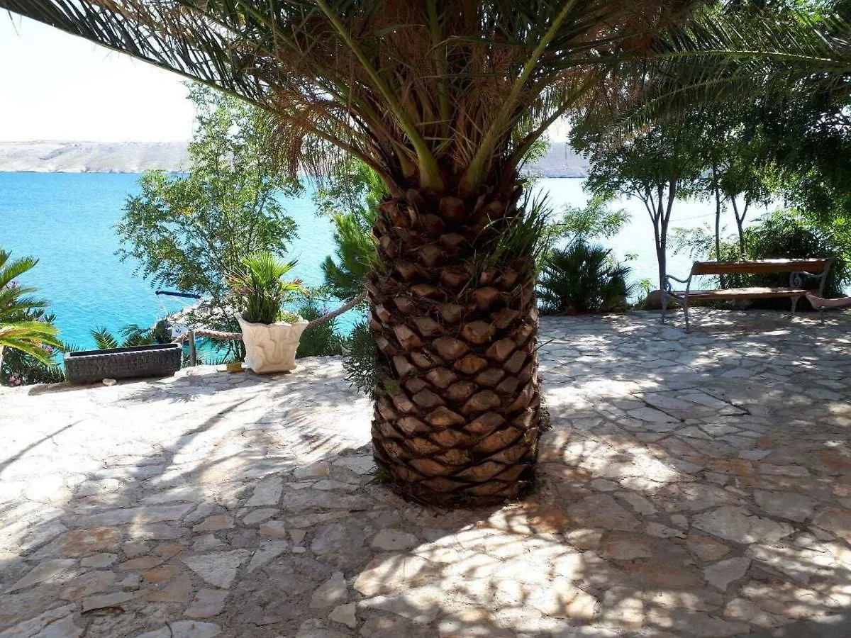 Apartments Horvat On Island Pag Vlasici 0*,  Croatia